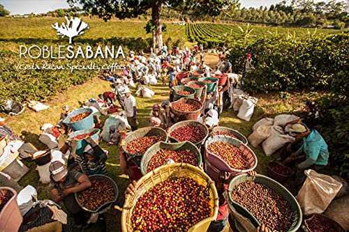 Costa Rican Coffee ROBLESABANA Tarrazu - SPECIAL RESERVE