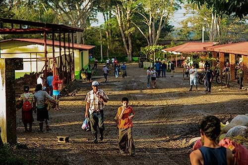 Don Tomás Dark Roast Nicaraguan Whole Coffee Beans