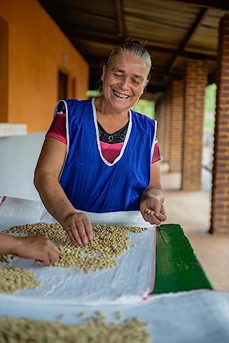 Don Tomás Dark Roast Nicaraguan Whole Coffee Beans