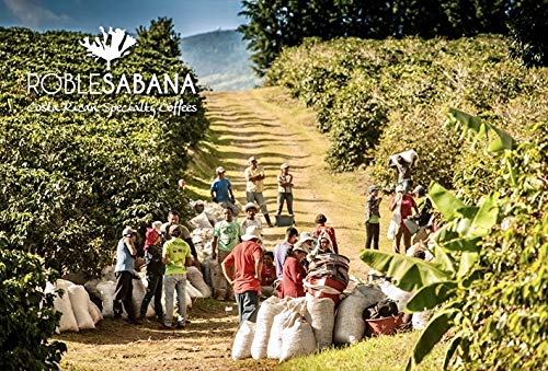 Costa Rican Coffee ROBLESABANA Poas. Specialty Grade, Whole Bean