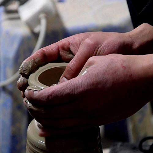 Handmade Pottery Coffee/Tea Mug - 10 oz Stoneware