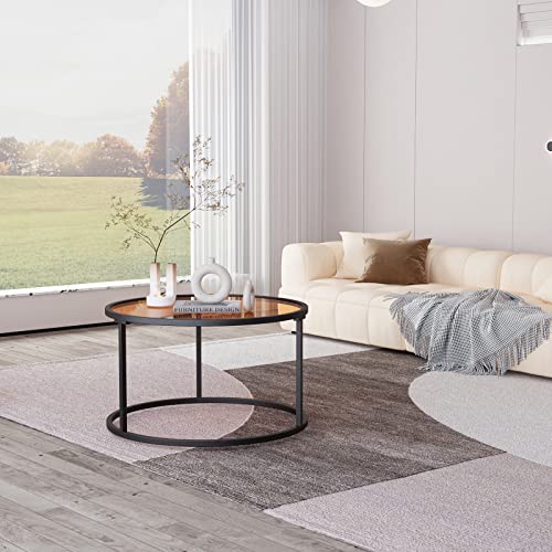 Round Glass Coffee Table with Metal Frame, Modern