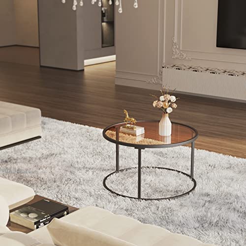 Round Glass Coffee Table with Metal Frame, Modern