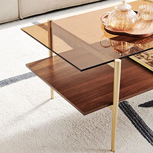 Saint Mossi Tadio Glass Coffee Table, Brown