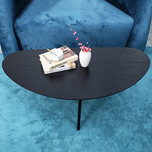 Mid Century Modern Black Oval Coffee Tables Set