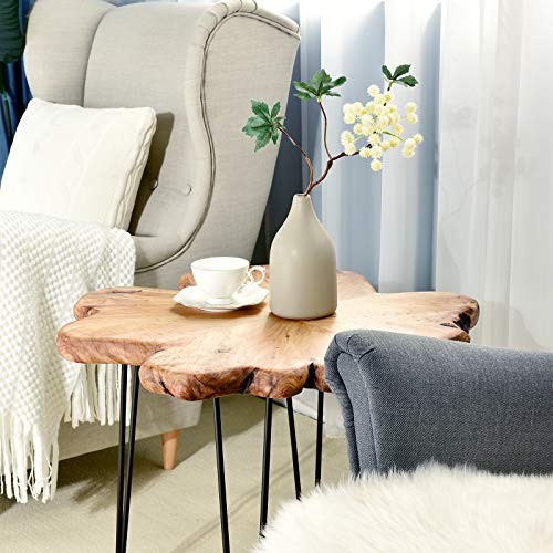Natural Edge Coffee Table (Style D) by WELLAND