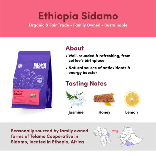 Ethiopia Sidamo Single Origin Coffee Beans - Delicate Flavors