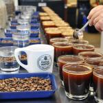 Verena Street Sunday Drive Decaf Ground Coffee, 11oz