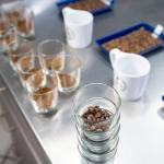 Verena Street Sunday Drive Decaf Ground Coffee, 11oz