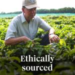 Starbucks Fall Blend Medium Roast Ground Coffee, 17 Oz