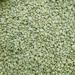 Malawi Geisha Reserve Green Coffee Beans 5 Lbs