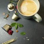 ‘San Marino’ Organic Italian Lungo for Nespresso | 100 USDA Organic Aluminum Capsules | Eco-Friendly Medium Roast | 100% Nespresso Compatible Pods | Fairtrade