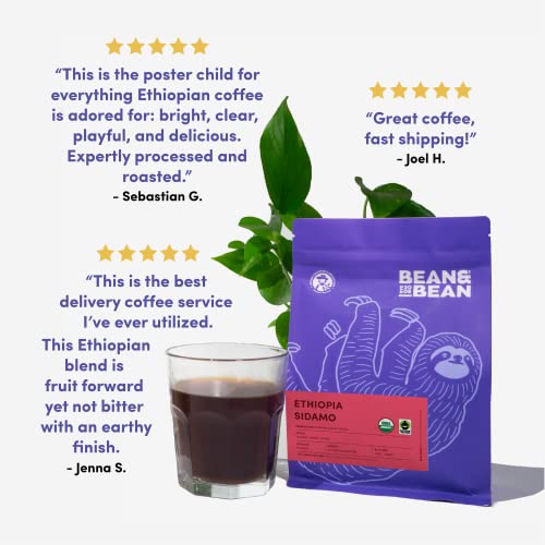 Ethiopia Sidamo Single Origin Coffee Beans - Delicate Flavors