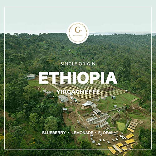 Organic Ethiopian Yirgacheffe Green Coffee Beans - 2 lbs
