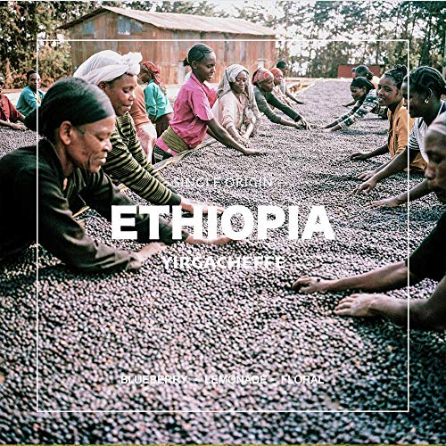 Organic Ethiopian Yirgacheffe Green Coffee Beans - 2 lbs