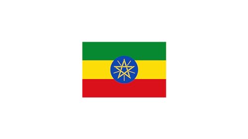 Roastika Premium Green Ethiopia Yirgacheffe Coffee Beans 5lb