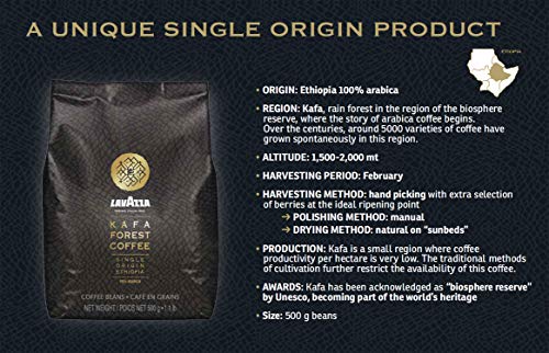 Lavazza Kafa Forest Coffee Whole Beans from Ethiopia