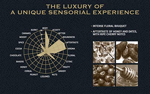 Lavazza Kafa Forest Coffee Whole Beans from Ethiopia