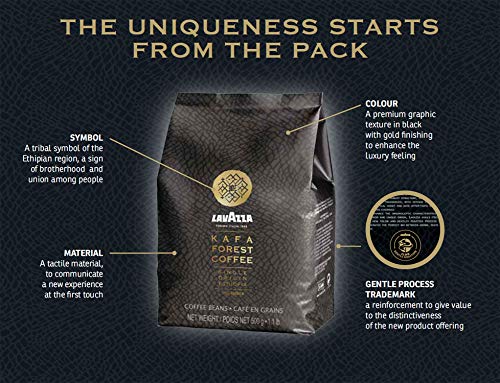 Lavazza Kafa Forest Coffee Whole Beans from Ethiopia