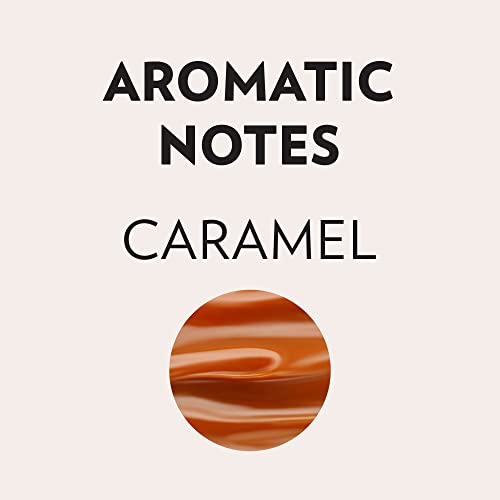 Lavazza Perfetto Dark Roast Ground Coffee, 12 oz