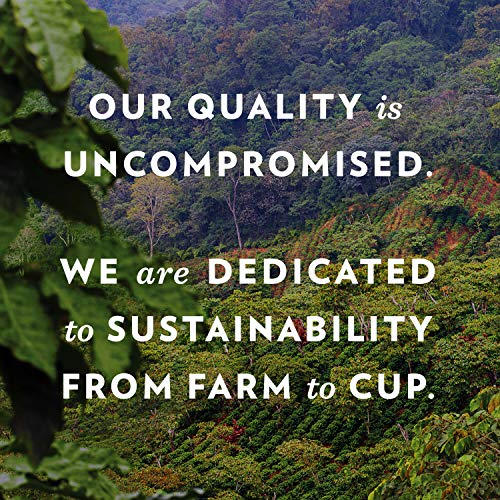 Community Coffee Dark & Bold Ground Coffee, 12 oz. Bag