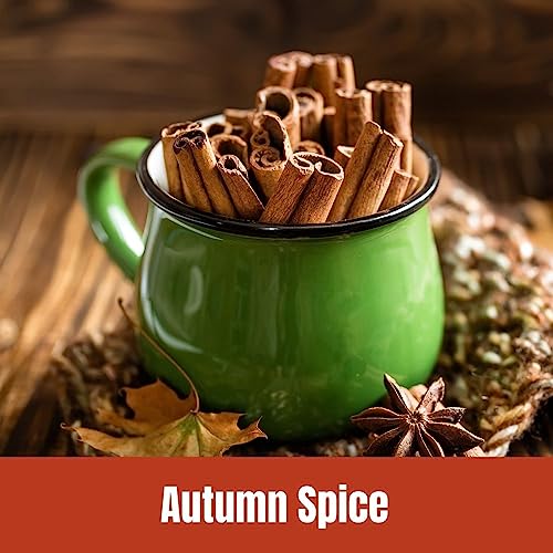 Door County Coffee Autumn Spice Cinnamon 8 oz Bag