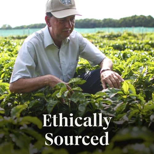 Starbucks Ground Coffee, Brown Sugar Cinnamon Flavor, 100% Arabica