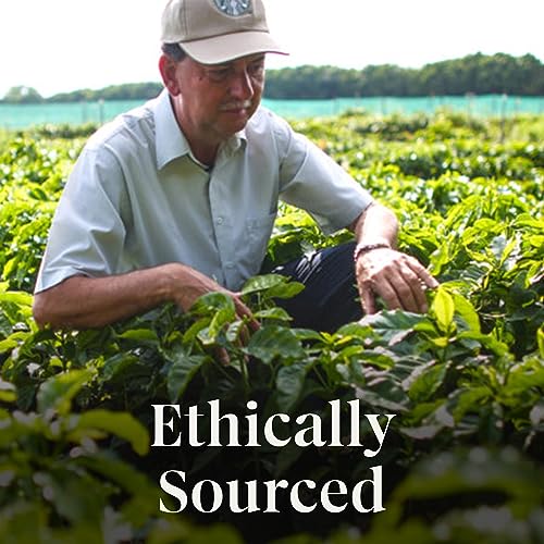 Starbucks Holiday Blend K-Cup Pods, 10 Pack