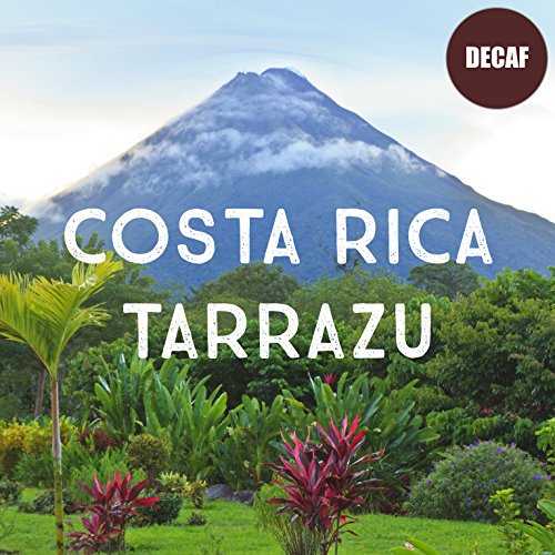 Fresh Roasted Costa Rica Decaf Tarrazu Coffee, 16oz