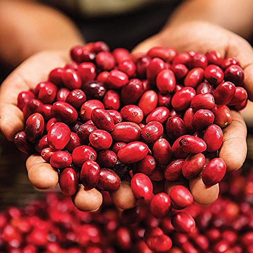 Green Mountain Breakfast Blend Decaf Whole Bean Coffee