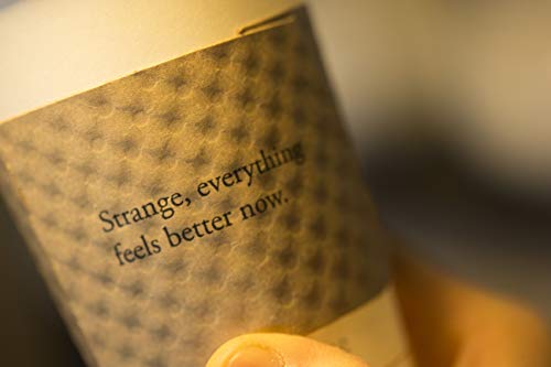 Larry's Beans Organic Decaffeinated Coffee Twilight, 12 oz