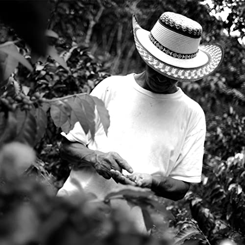 V Vescovi Premium Decaf Italian Espresso Beans 1.1lb