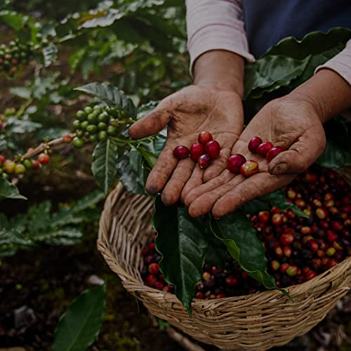 V Vescovi Premium Decaf Italian Espresso Beans 1.1lb