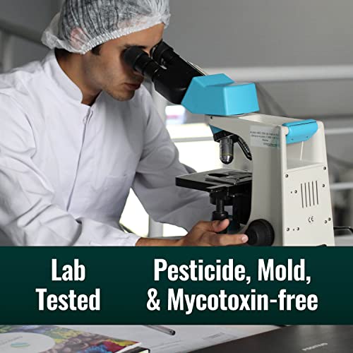 Natural Force Organic Swiss Water Decaf Coffee 10 oz