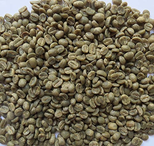 3lb Specialty Grade Nicaraguan Single Origin Green Coffee Beans