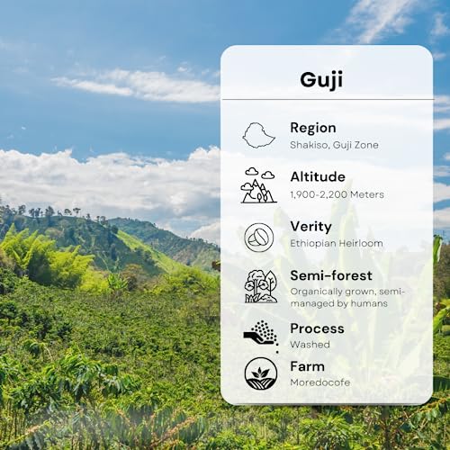 Lily's Ethiopian Guji Washed Green Coffee Beans 3LB