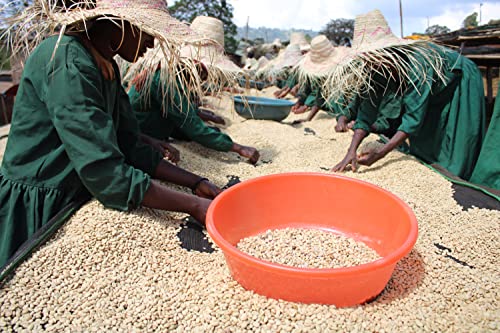 Lily's Ethiopian Guji Washed Green Coffee Beans 3LB