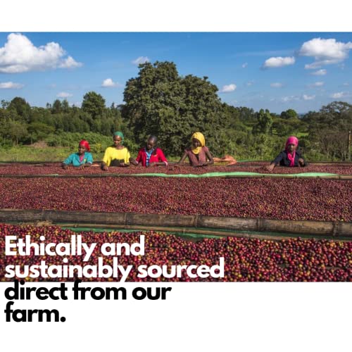 Lily's Ethiopian Guji Washed Green Coffee Beans 3LB