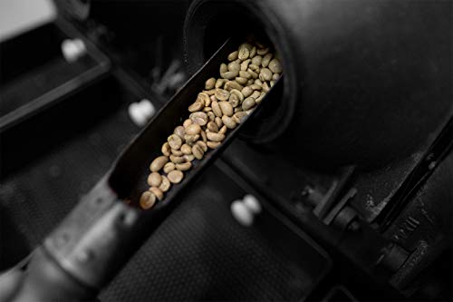 THOMAS Premium Blend Ground Coffee | Medium Roast | 12 oz