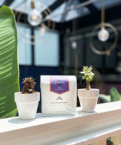 Ethiopia Dangora Cooperative Decaf Whole Bean Coffee