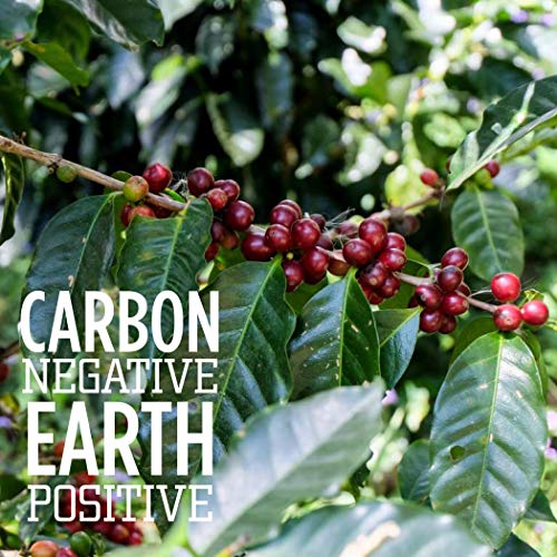 Tiny Footprint Peru Medium Roast Organic Ground Coffee