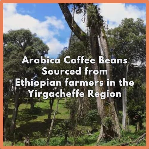 Café Grumpy Ethiopia Yirgacheffe Coffee, 12oz Bag