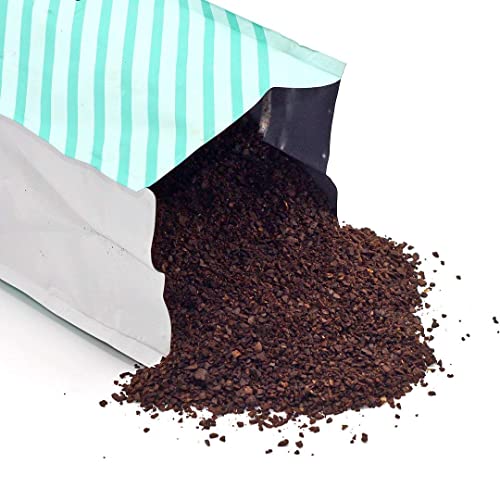 Organic Colombian Supremo Dark Roast Cold Brew Coffee