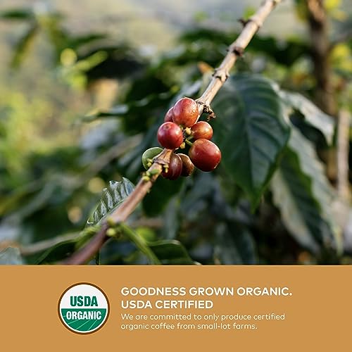 GRANA Cold Brew Organic Fair Trade Ground Coffee