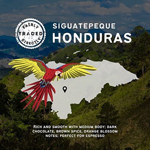 Canopy Point Coffee Honduras Dark Roast Coarse Grind