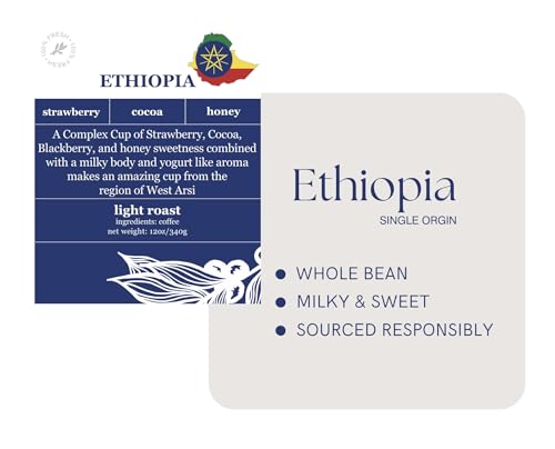 Intazza Ethiopian Whole Bean Coffee (12oz) - Single-Origin