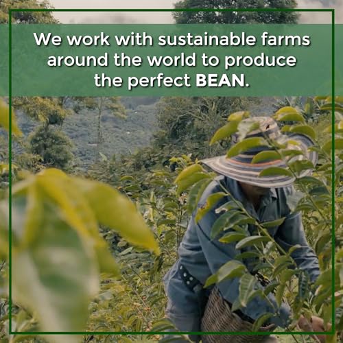 Organic Vanilla Bean Ground Coffee, Medium Roast (2x16oz)