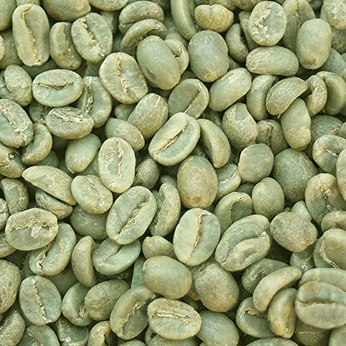 Tanzania AA Kilimanjaro Green Coffee Beans - Specialty Arabica