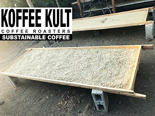 Koffee Kult Limited - Kenya Whole Medium Roast