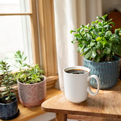 Cameron's Coffee Roasted Ground Coffee Bag, Flavored, Decaf Vanilla Hazelnut, 10 Ounce